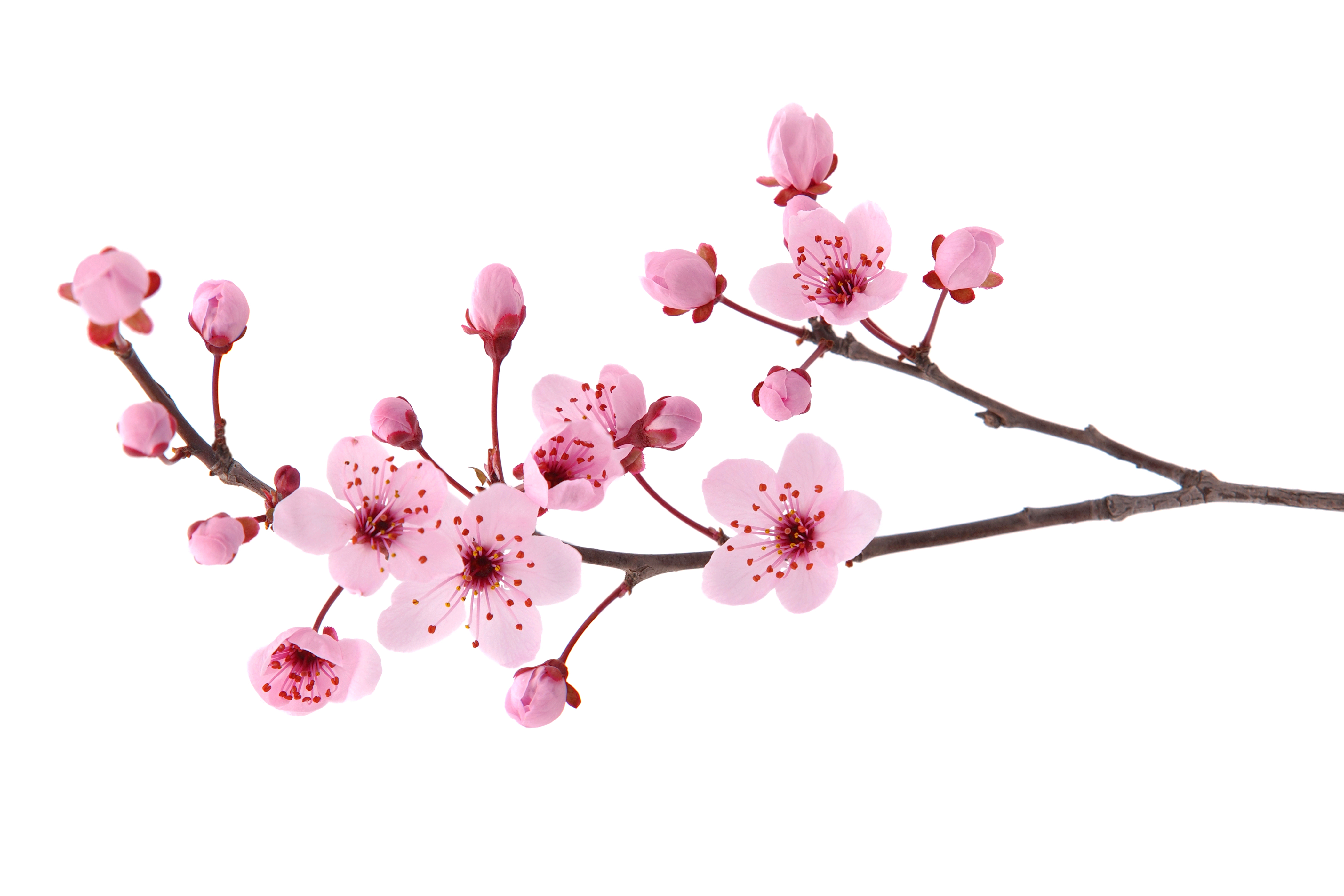 In The Neighborhood - April 2025 Newsletter